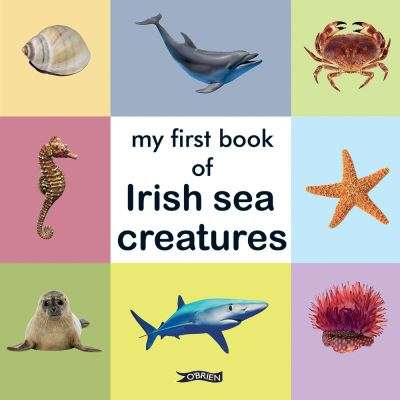 My first book of Irish sea creatures